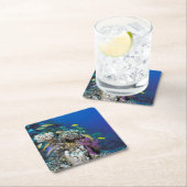 Goatfish zwerm rond klein koraal kartonnen onderzetters (Insitu)