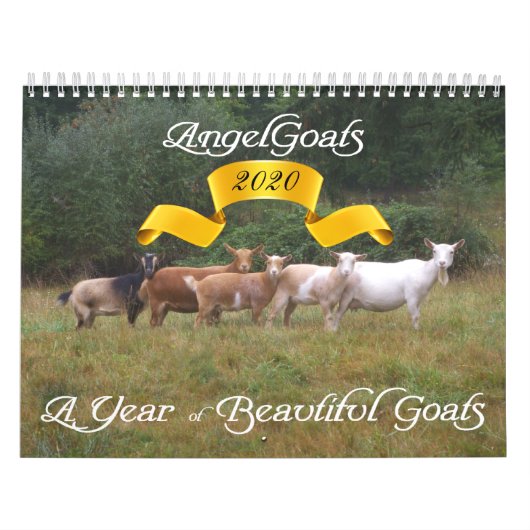 Goats Calendar Beauful Goats Angel Kalender (Hoes)