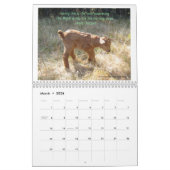 Goats Calendar Beauful Goats Angel Kalender (Mar 2026)