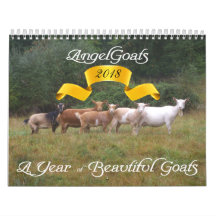 Goats Calendar Beauful Goats Angel