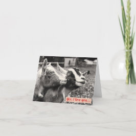 Goats in Love Valentijnsdag Kaart