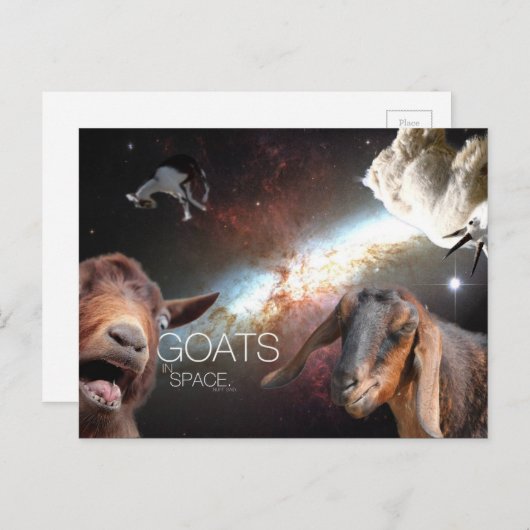 Goats.In.Space Briefkaart (Voorkant / Achterkant)