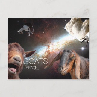 Goats.In.Space Briefkaart