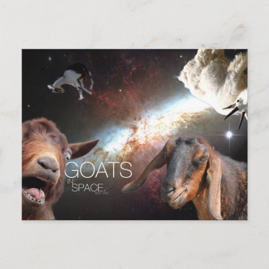 Goats.In.Space Briefkaart (Voorkant)