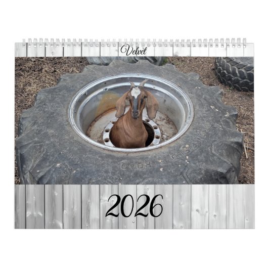 Goats of 2026 calendar kalender (Hoes)