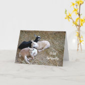 Goats Slaapend Hay Sympathie Kaart (Gele Bloem)
