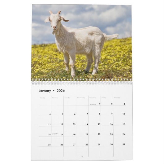 Goats Wall Agenda Kalender (Jan 2026)