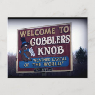Gobblers Knob Punxsutawney, Pennsylvania Briefkaart