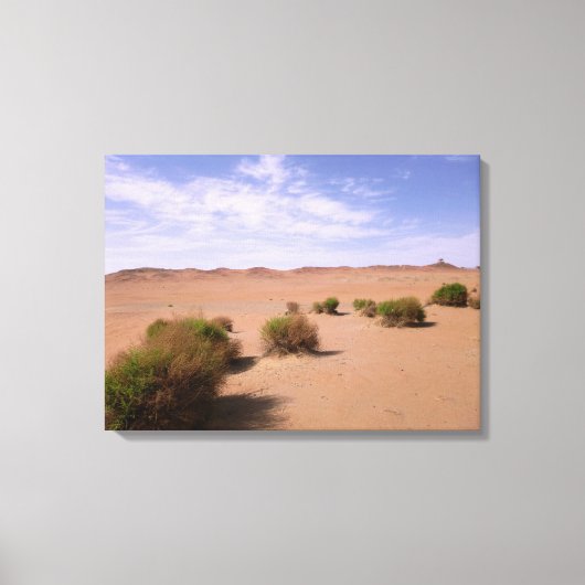 Gobi Desert Uitzicht Canvas Afdruk (Voorkant)