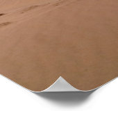 Gobi Sand Dune Poster (Hoek)