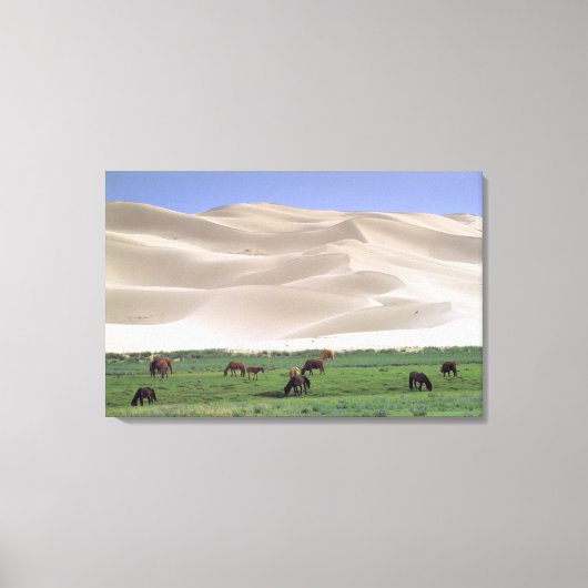 Gobiwoestijn | Wilde paarden Canvas Afdruk (Voorkant)