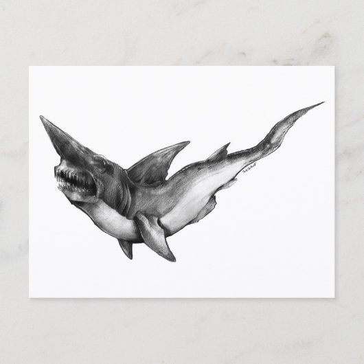 Goblin Shark - Briefkaart (Voorkant)