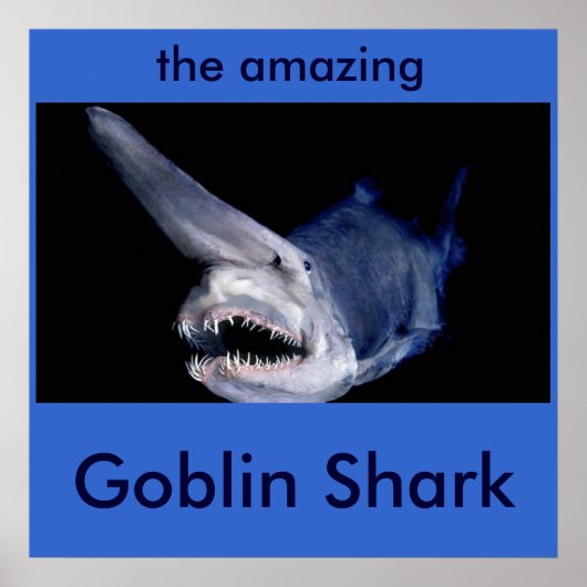 Goblin Shark Poster (Voorkant)