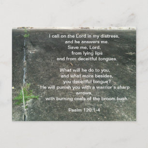 God beschermt je tegen leugenaars briefkaart