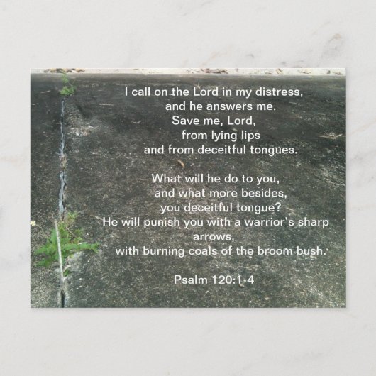 God beschermt je tegen leugenaars briefkaart (Voorkant)