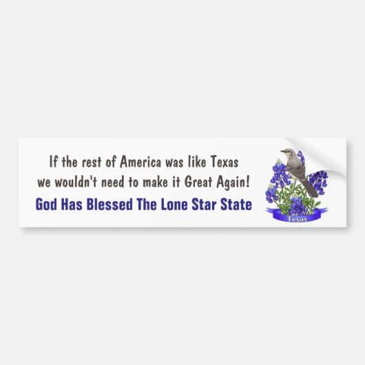 God Bless Texas Mockingbird & Bluebonnet Bumpersticker (Voorkant)