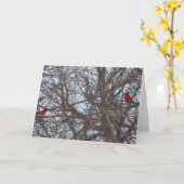 God Creëer de schoonheid, kardinalen Kaart (Gele Bloem)