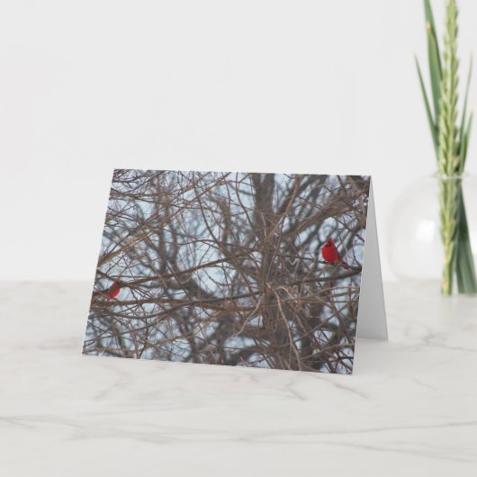 God Creëer de schoonheid, kardinalen Kaart (Voorkant)