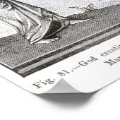 God Creëer de wereld door de kompas Poster (Hoek)