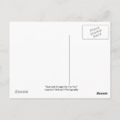 God heeft een licht op je laten liggen briefkaart (Achterkant)