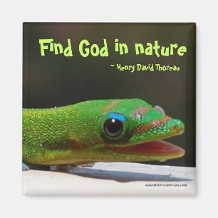 God in de natuur zoeken magneet