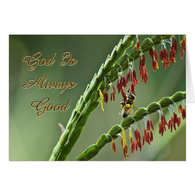 God is een goede bijen (Voorkant Horizontaal)