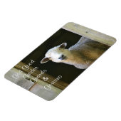 God is een goede schapen magneet (Linkerzijde)