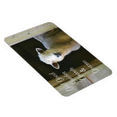 God is een goede schapen magneet (Rechterzijde)