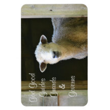 God is een goede schapen