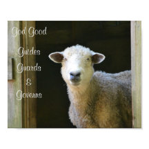 God is een goede schapen