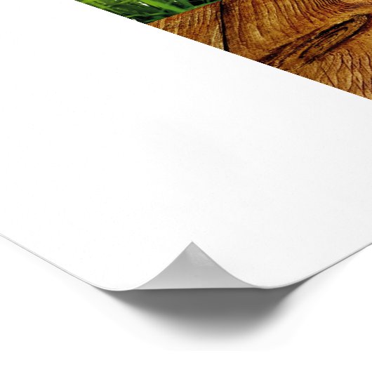 GOD IS GROOT! - Christelijke Posters voor kinderen (Hoek)