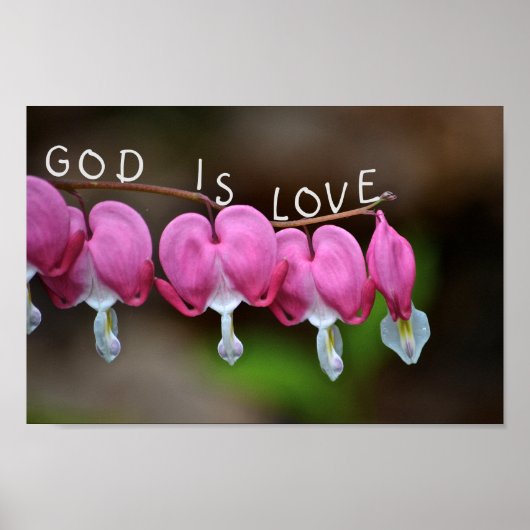 God is het liefdeshart poster (Voorkant)