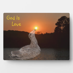 God is liefde fotoplaat
