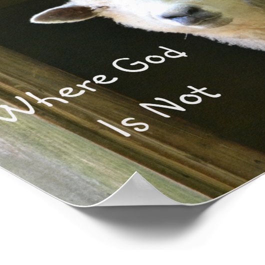 God is overal schaap poster (Hoek)