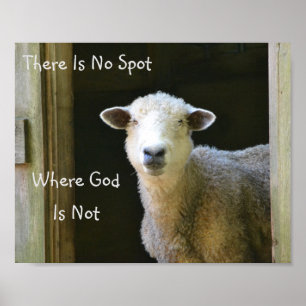 God is overal schaap poster