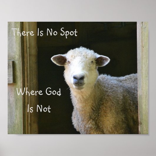 God is overal schaap poster (Voorkant)