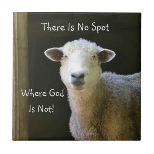 God is overal schaap tegeltje (Voorkant)