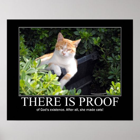 God Made Cats Artwork Poster (Voorkant)