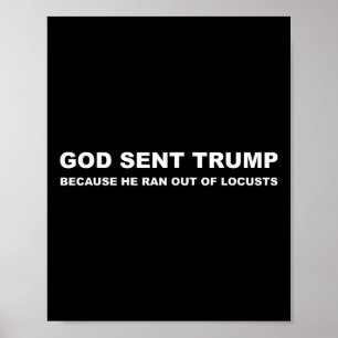 God stuurde Trump omdat hij geen sprinkhanen meer  Poster
