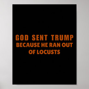 God Stuurde Trump Omdat Hij Sprinkhanen Op Had Ant Poster