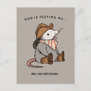 God test me en ik heb niet gestudeerd briefkaart