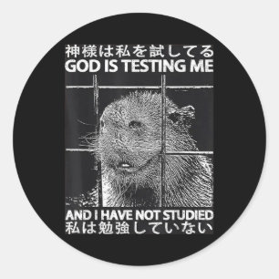 God test mij en ik heb Meme Capy niet bestudeerd Ronde Sticker