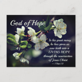 God van Hope Cherry Blossom Briefkaart
