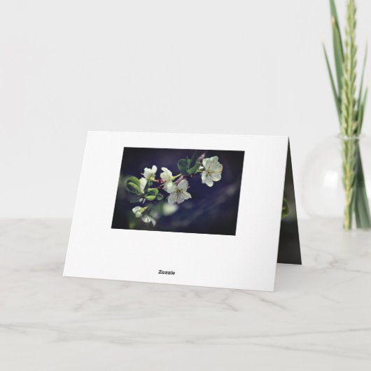 God van Hope Spring Flowers Pasen Feestdagen Kaart (Achterkant)