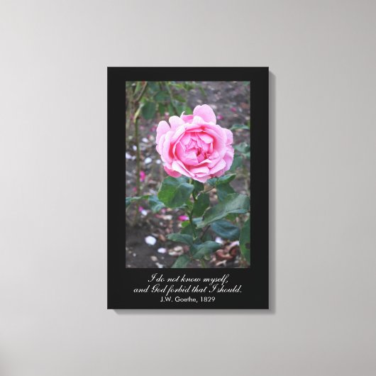 God verhoede dat ik mezelf zou moeten weten - Goet Canvas Afdruk (Voorkant)