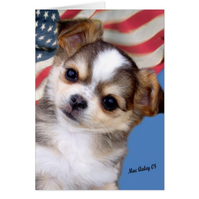 God zegenAmerika (Voorkant)