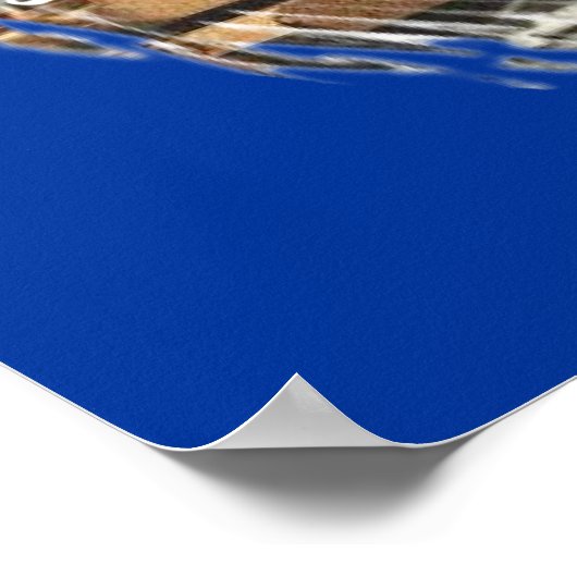 God zegene america poster (Hoek)