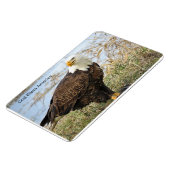 "God zegene Amerika" Bald Eagle op flex. 4 x 6 mag Magneet (Linkerzijde)