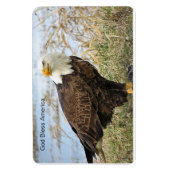 "God zegene Amerika" Bald Eagle op flex. 4 x 6 mag Magneet (Verticaal)