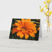 God zegene je op je verjaardag kaart (Gele Bloem)